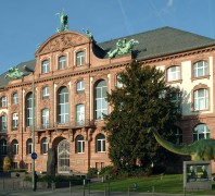 Außenansicht des Senckenberg Naturmuseums. Es ist ein historisches Gebäude auf dessen Giebel sich mehrere Figuren befinden. Rechts im Bild, im Garten, steht ein großer Dinosaurier.